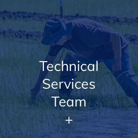 Technical Services Team