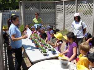 Jessica with local kinder class demonstrating fertilizer providing nutrients to plants, 2012