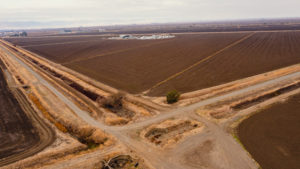 Rice fields that would typically serve as wintering habitats for wildlife.