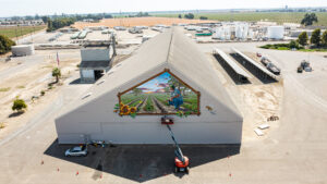 Gnos finishing the remaining touches of the mural at 65 ft from the ground.